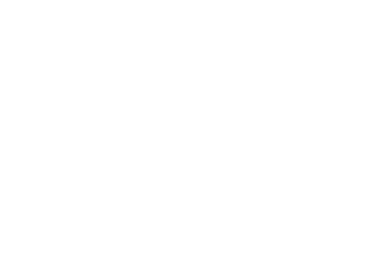 Automotive overlay
